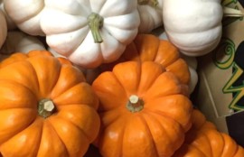 ハロウィン　かぼちゃ　パンプキン　花市場　レッスン　神戸　大阪　フラワーアンジェリク