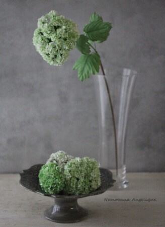 布花 ビバーナム レッスン 関西 近畿 兵庫 神戸 フラワーアンジェリク