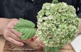 布花　ビバーナム　レッスン　関西　近畿　兵庫　神戸　フラワーアンジェリク