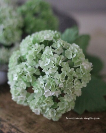 布花 ビバーナム レッスン 関西 近畿 兵庫 神戸 フラワーアンジェリク