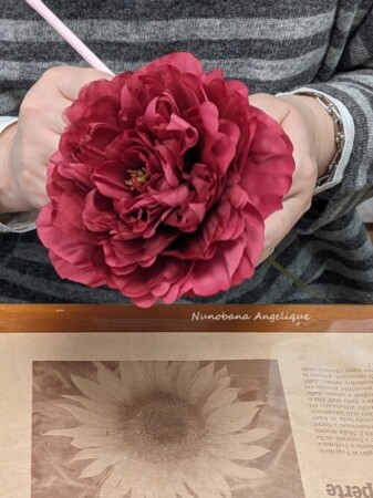 布花 シャクヤク しめ縄 レッスン 関西 近畿 兵庫 神戸