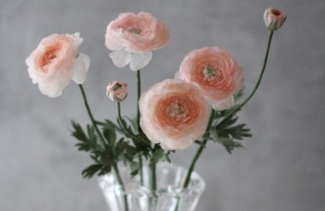 布花　ラナンキュラス　レッスン　関西　兵庫　神戸